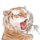 胖虎免费svip影视