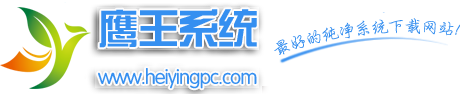 鹰王技术系统的LOGO图片
